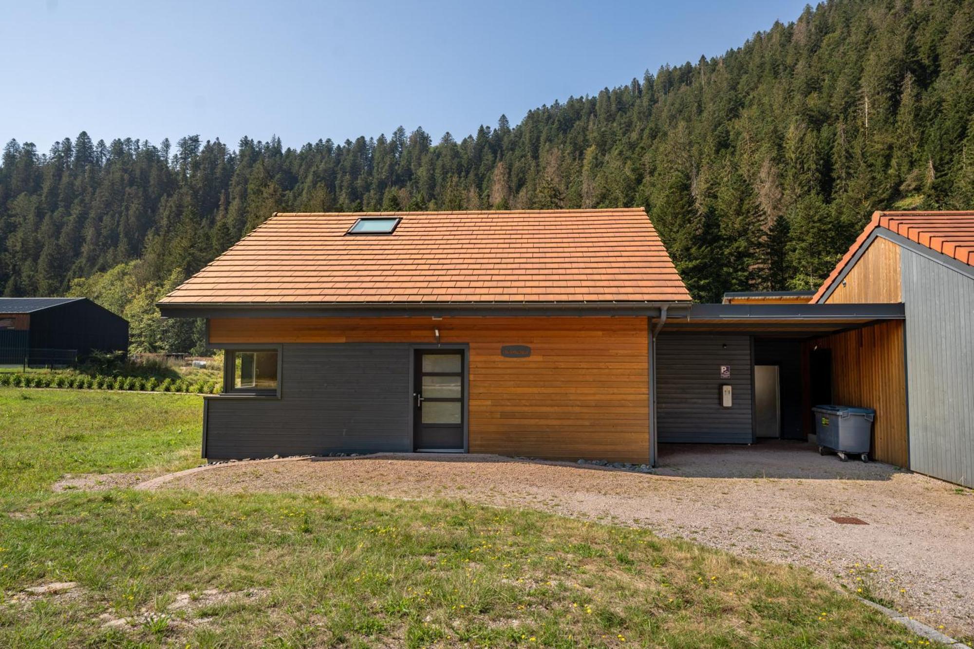 Chalet Nemesia Avec Spa A Gerardmer Gérardmer Exterior foto